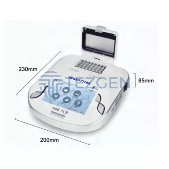 Mini Termal Döngü Cihazı (PCR) WT-16 / WT-32+ | West Tune